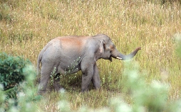 Laos Wunderland