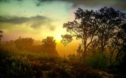 Natur nah | TV-Programm von SWR