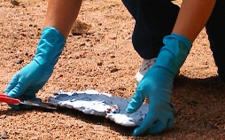 Medical Detectives - Geheimnisse der Gerichtsmedizin