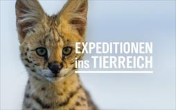 Expeditionen ins Tierreich