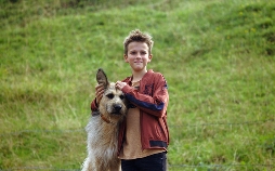 Racko - Ein Hund für alle Fälle