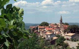 Istriens Süden - Urlaubsparadies an der kroatischen Adria
