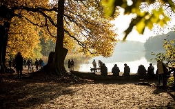 Berliner Nächte - Herbst