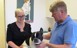 Die Tierärzte - Retter mit Herz