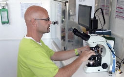 Die Tierärzte - Retter mit Herz