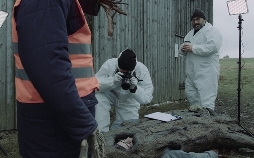 Hammerthal - Kapitel 3: Glösa Nostra?