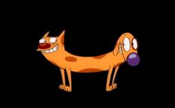 CatDog