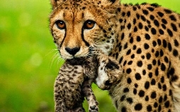 Abenteuer Wildnis