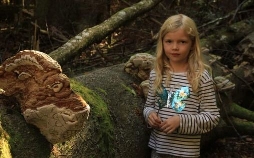 Lene und die Geister des Waldes