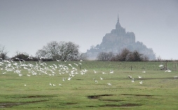Mont-Saint-Michel - Das rätselhafte Labyrinth