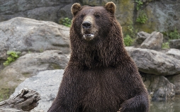 Bronx Zoo - Tierpark der Superlative