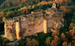 Der Pfälzerwald rund ums Jahr