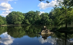 Bilderbuch Berlin-Weißensee