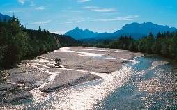 Wasser für die wilde Isar