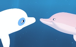 Zoom - Der weiße Delfin