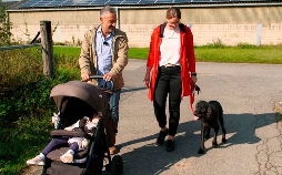 Hunde verstehen!