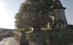 Die magische Welt der Bäume - Die Linde