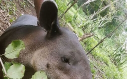 360° - Die GEO-Reportage