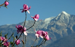 Wunderwelt Schweiz
