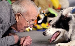 Die geheime Welt der Hunde