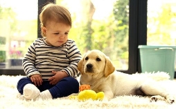 Die geheime Welt der Hunde
