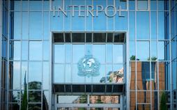 Inside Interpol - Verbrecherjagd und Politik