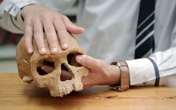 Homo sapiens - Vom wahren Ursprung des Menschen