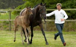 Die Tierärzte - Retter mit Herz