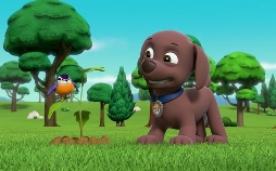 Paw Patrol