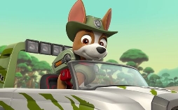 Paw Patrol