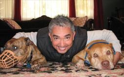 Cesar Millan: Better Human Better Dog - Bessere Menschen, bessere Hunde | TV-Programm von sixx