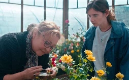 Der Rosengarten von Madame Vernet