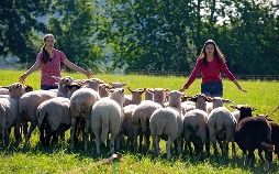 Tiere bis unters Dach