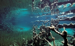 Plitvice - Im Land der fallenden Seen