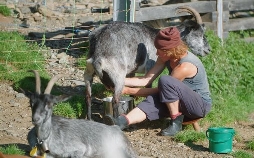 Wilde Schweiz II: Das Calancatal