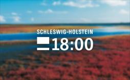 Schleswig-Holstein 18