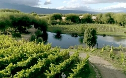 Die wunderbare Welt der Weine