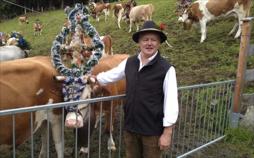Kühe, Hirten, Traditionen - Almabtrieb im Alpbachtal