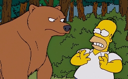 Die Simpsons