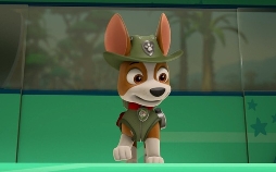 Paw Patrol