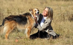 Darling Companion - Ein Hund fürs Leben