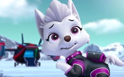 PAW Patrol - Helfer auf vier Pfoten