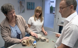 Die Tierärzte - Retter mit Herz