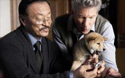 Hachiko - Eine wunderbare Freundschaft