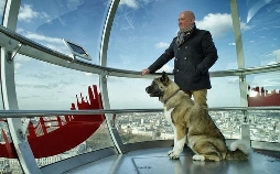 Die geheime Welt der Hunde
