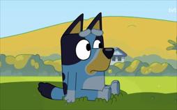 Bluey