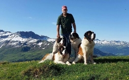 Schweizer Hundegeschichten: Der Bernhardiner vom Großen Sankt Bernhard - Weit mehr als ein Mythos