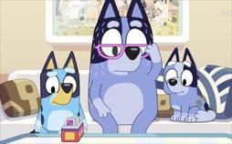 Bluey