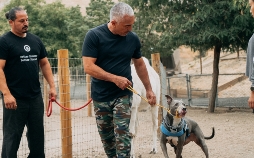 Cesar Millan: Guter Mensch, guter Hund