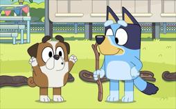 Bluey